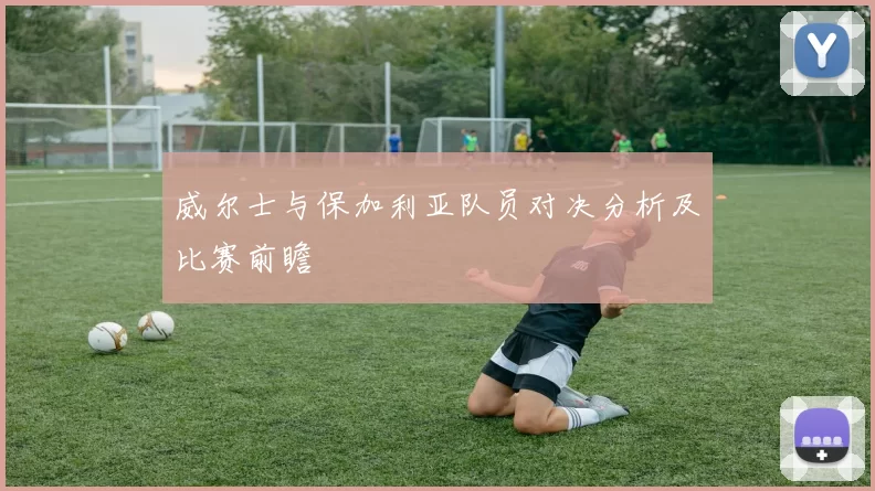 威尔士与保加利亚队员对决分析及比赛前瞻