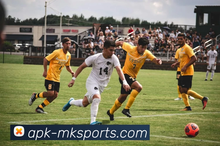 卡尔安东尼唐斯的篮球之路与未来发展展望